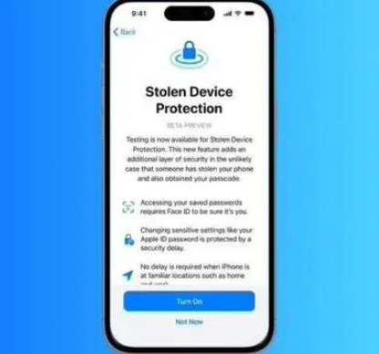 番阳镇苹果授权维修店分享被盗设备保护功能开启方法 