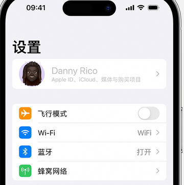 番阳镇appleID维修服务iPhone设置中Apple ID显示为灰色无法使用