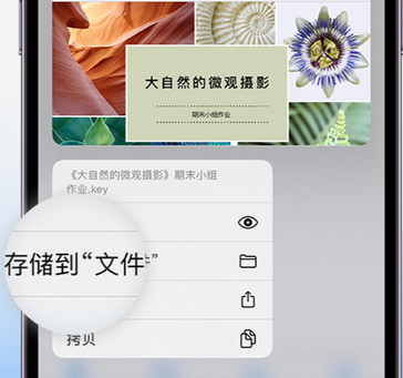 番阳镇apple维修中心分享iPhone文件应用中存储和找到下载文件