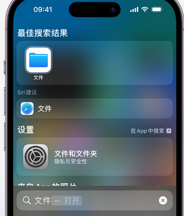 番阳镇apple维修中心分享iPhone文件应用中存储和找到下载文件