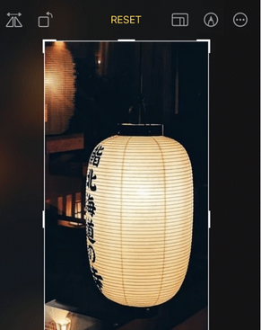番阳镇苹果手机维修店分享iOS17中一键式裁剪功能使用方法