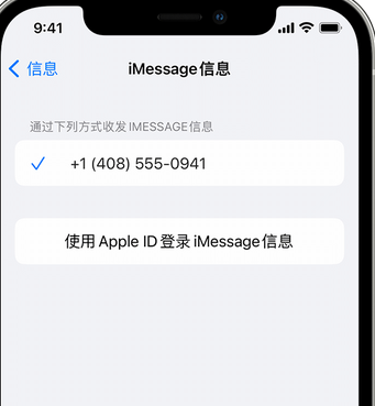 番阳镇apple维修iPhone上无法正常发送iMessage信息 