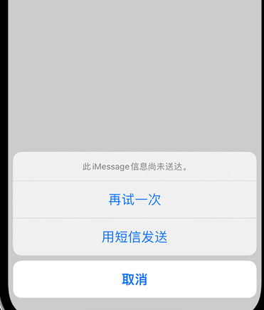 番阳镇apple维修iPhone上无法正常发送iMessage信息