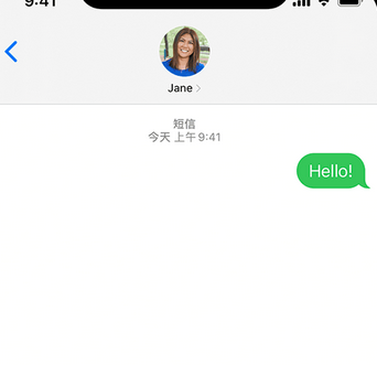 番阳镇apple维修iPhone上无法正常发送iMessage信息