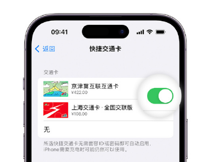 番阳镇apple维修点分享iPhone上更换Apple Pay快捷交通卡手绘卡面 