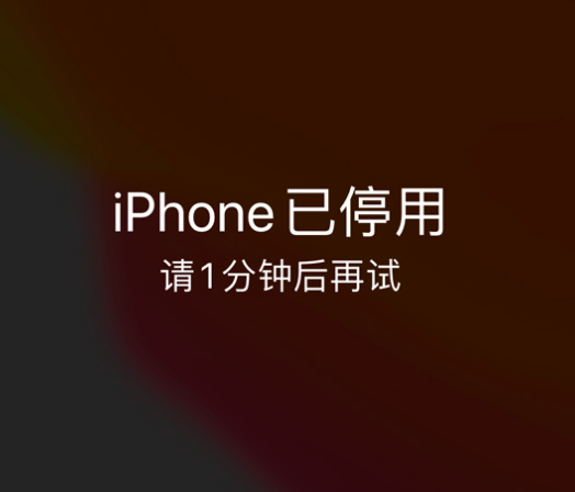 番阳镇苹果手机维修分享:iPhone 显示“不可用”或“已停用”怎么办？还能保留数据吗？ 