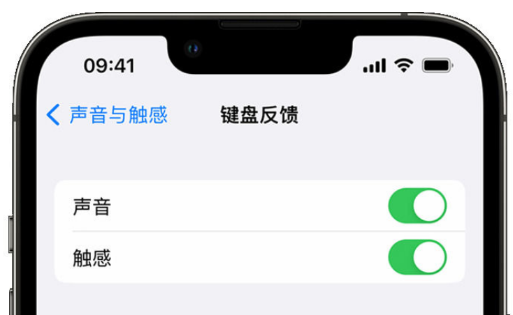 番阳镇苹果手机维修分享iPhone 14触感键盘使用方法 