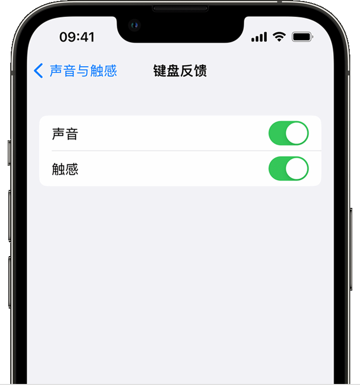 番阳镇苹果14维修店分享如何在 iPhone 14 机型中使用触感键盘 