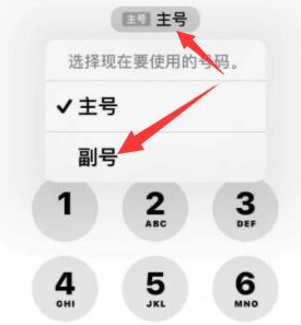 番阳镇苹果14维修店分享iPhone 14 Pro Max使用副卡打电话的方法 