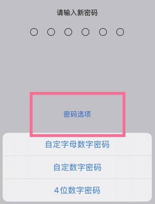 番阳镇苹果14维修分享iPhone 14plus设置密码的方法 