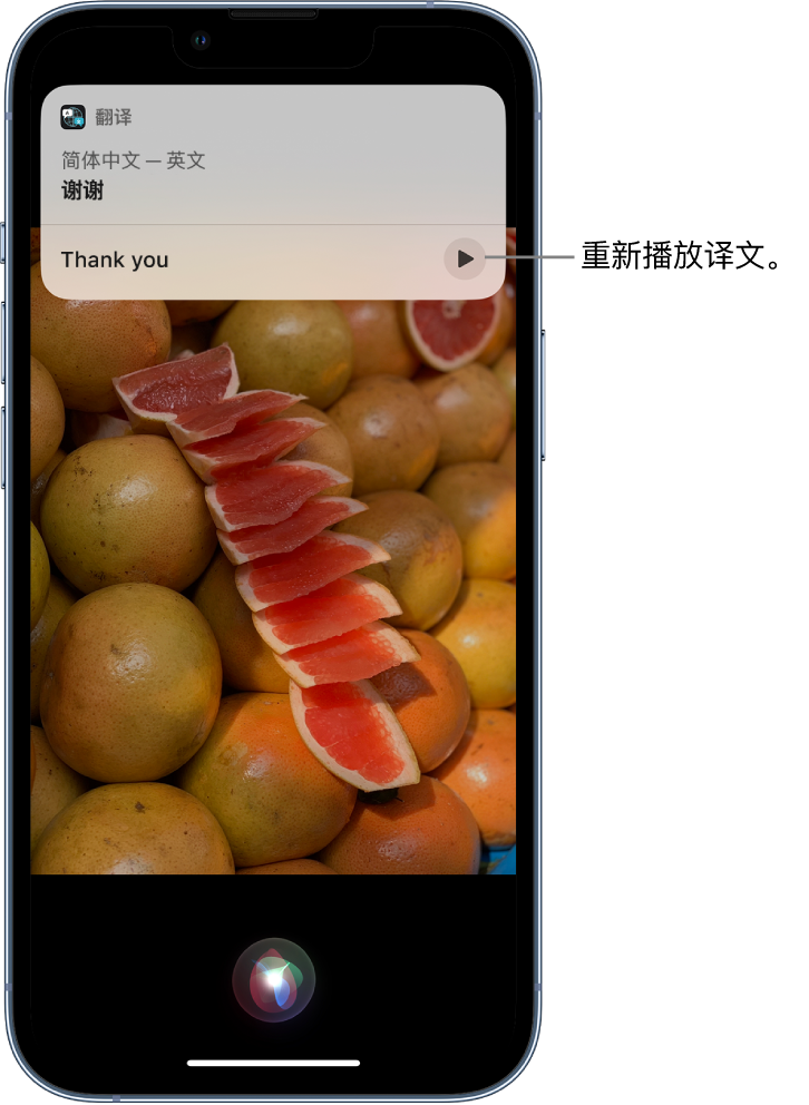 番阳镇苹果14维修分享 iPhone 14 机型中使用 Siri：了解 Siri 能帮你做什么 
