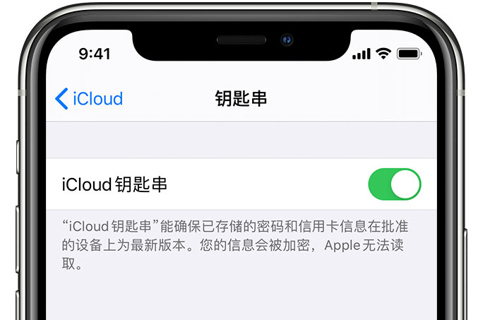 番阳镇苹果手机维修分享在 iPhone 上开启 iCloud 钥匙串之后会储存哪些信息 