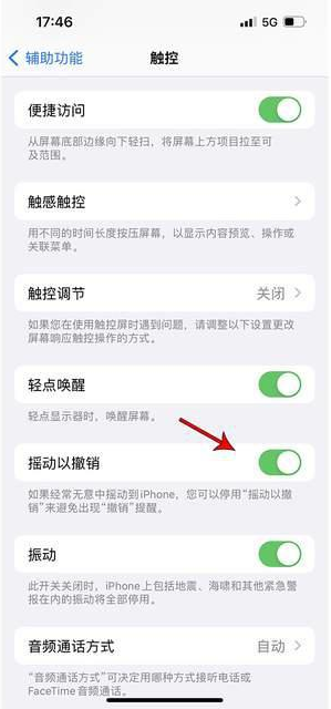 番阳镇苹果手机维修分享iPhone手机如何设置摇一摇删除文字 