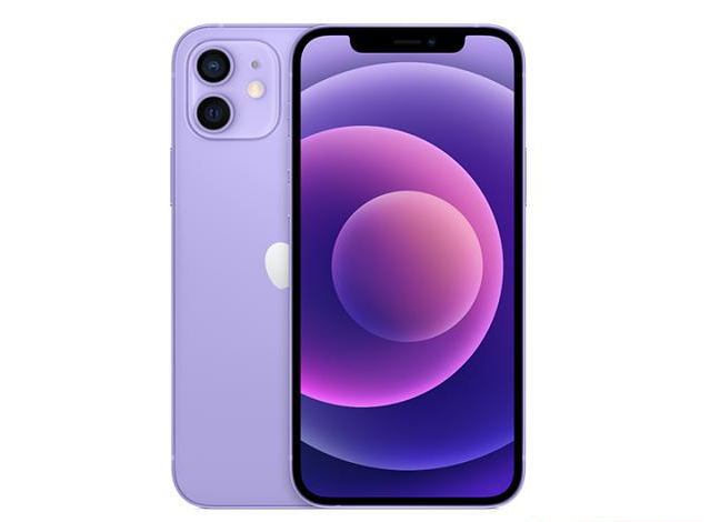 番阳镇苹果手机维修分享现阶段要不要入手紫色版iPhone12 