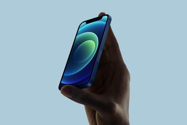 番阳镇苹果手机维修分享iPhone 12 mini辐射很大吗 